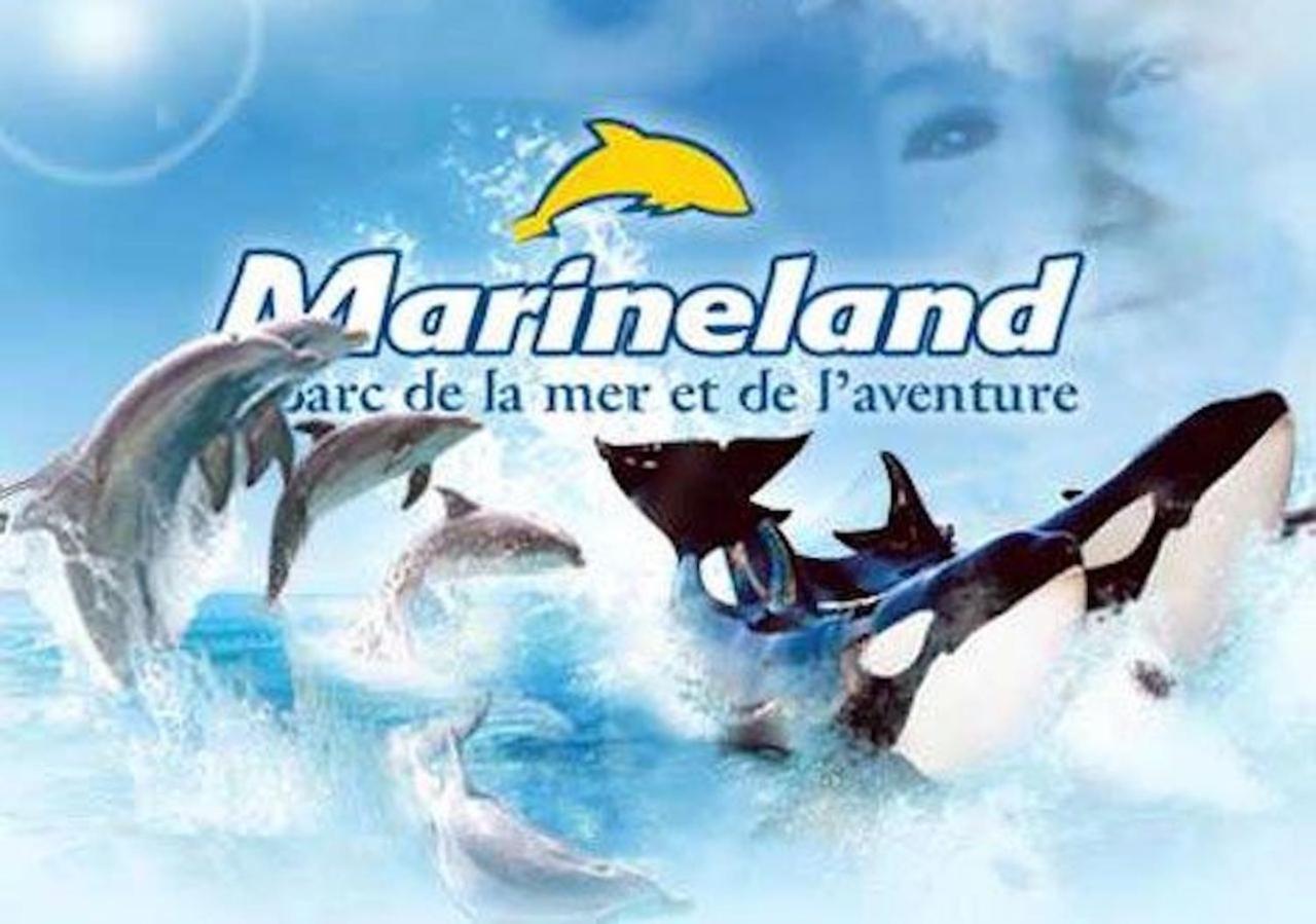 أنتيب Appartement Marineland Sea View المظهر الخارجي الصورة